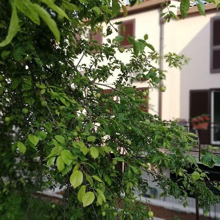 Family Apartment Ingrid Pula Exterior foto